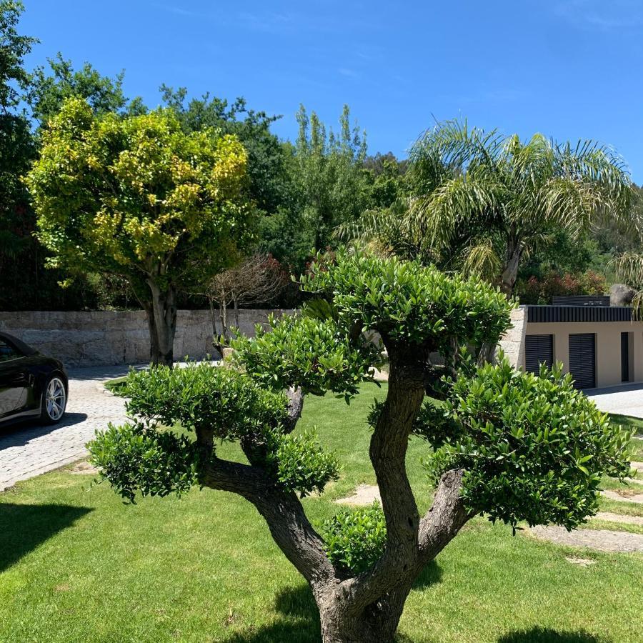 Quinta De Santa Ana, Em Vizela Apartman Infias Kültér fotó